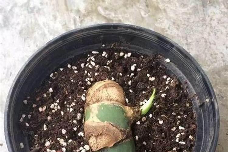 湖北宜化(000422)简介