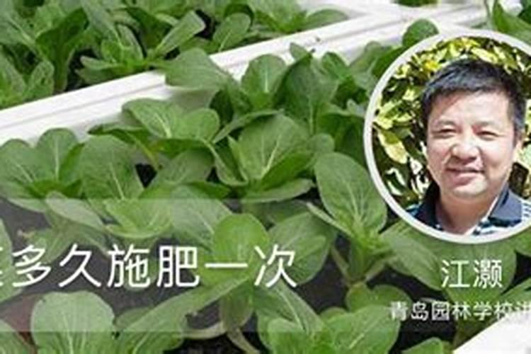 种菜用花生麸多久用一次