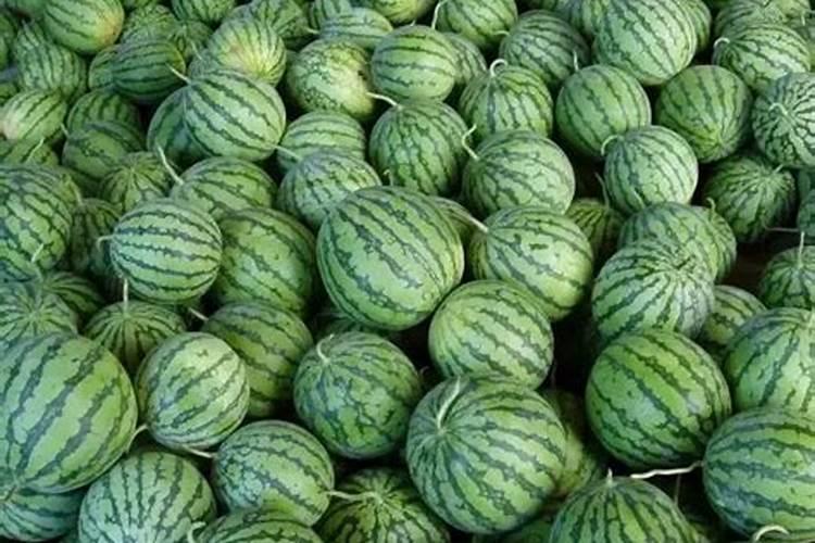 平衡肥。高钾肥钙肥分别在西瓜什么时期冲施？