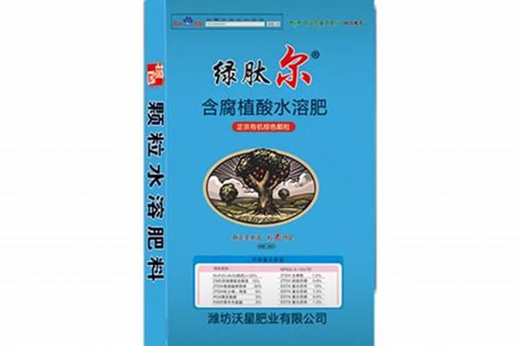 夏天荔枝苗叶枯了2个月了还没好