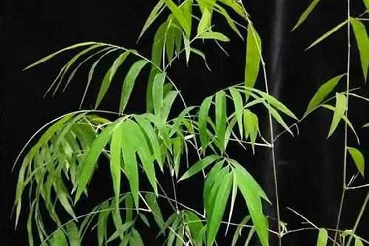 中山纳微新材料科技有限公司怎么样？