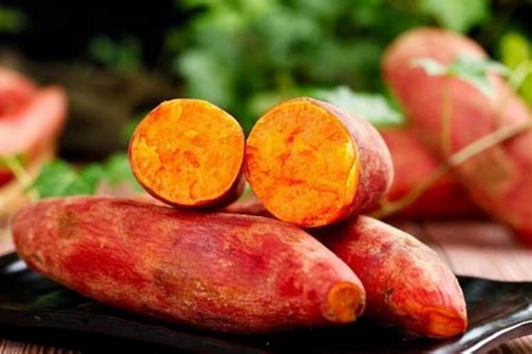 红薯地里可以不可以上硝酸磷肥料？
