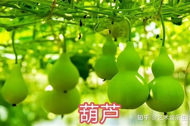 中国十大腐植酸品牌