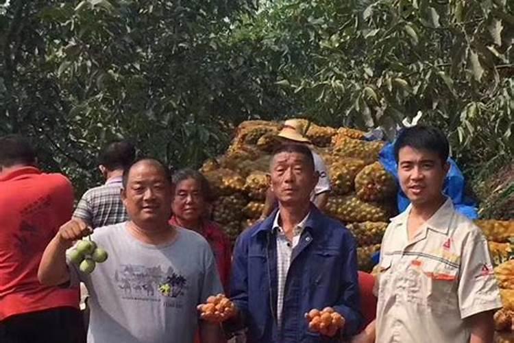 绿之洲水溶肥怎么样？