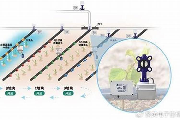 烂香蕉肉怎么制作花肥 香蕉肉烂了可以做肥料吗