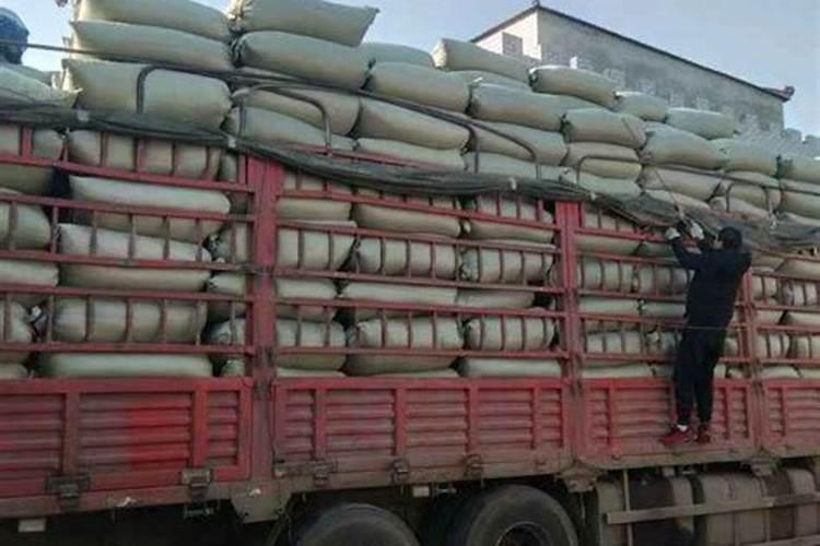 茄子施肥用什么肥料好