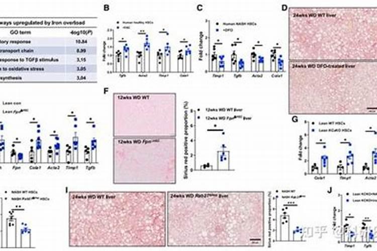 什么是氦气爆炸的三个条件？