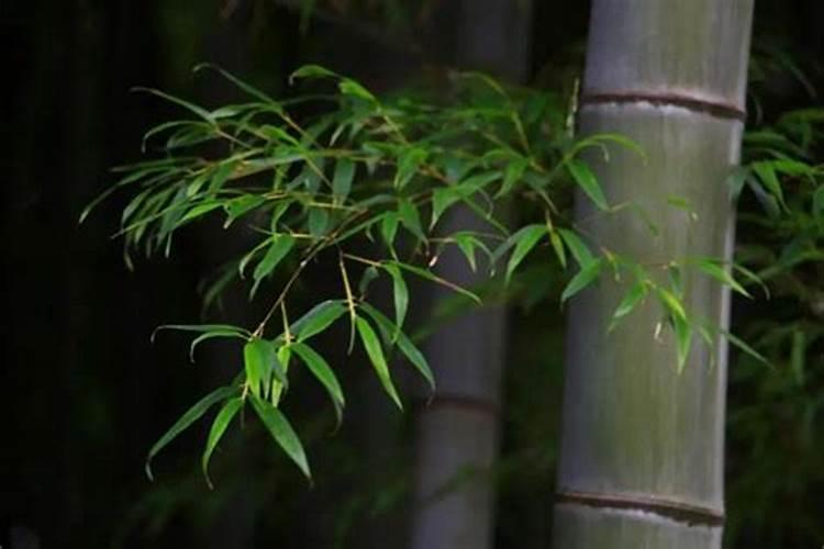 全国有哪些磷肥厂？ 知道的帮帮忙
