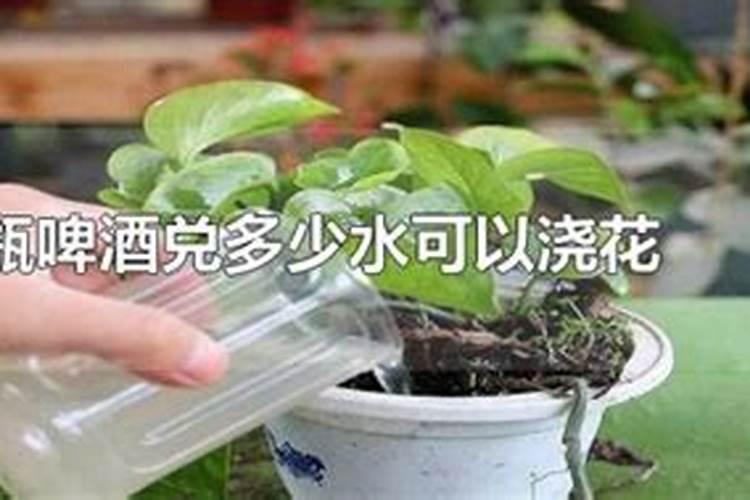 磷酸二氢钾兑多少水对苹果树能控旺？