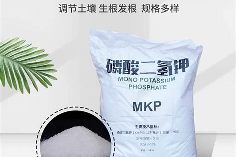 我这边西瓜现在有轻微的感染炭疽病,怎么预防