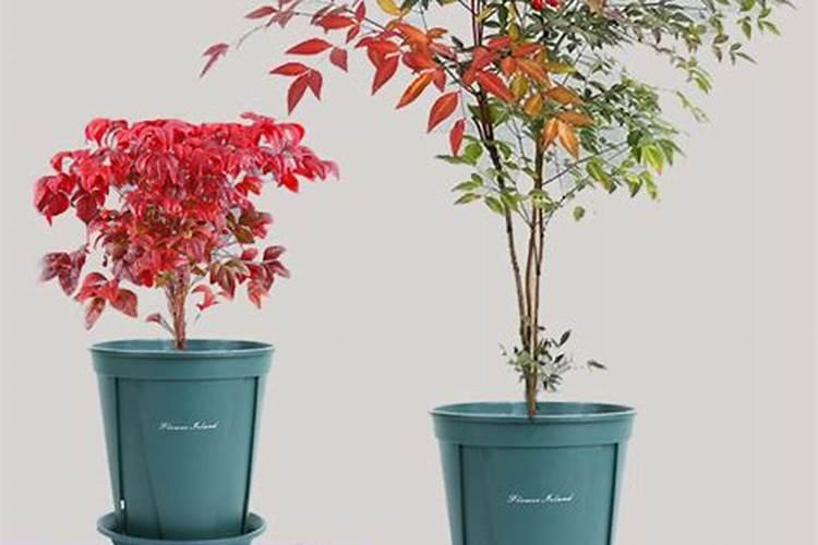 多肽氮肥与多肽尿素的区别