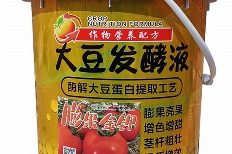 红掌可以用黄豆当肥吗