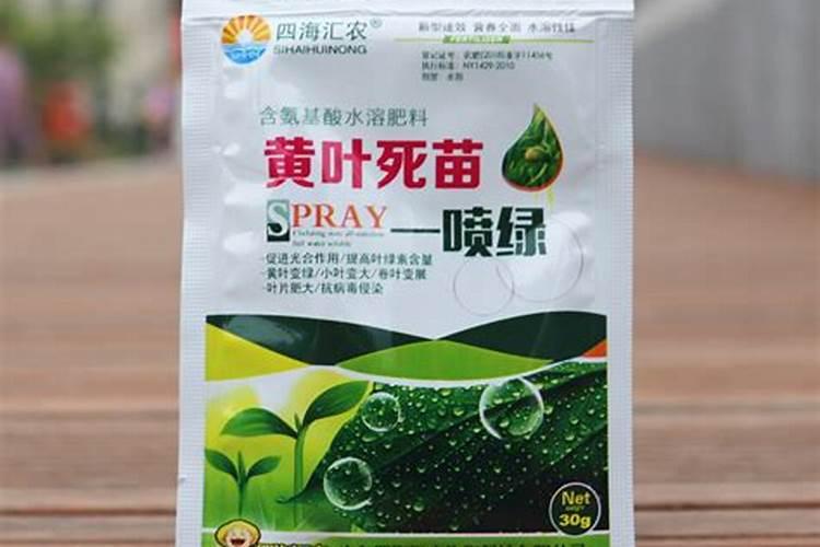 水溶肥是什么肥料