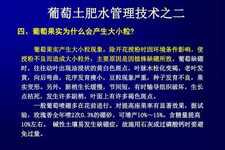 杜鹃花适合施哪种肥 杜鹃花施什么肥料好