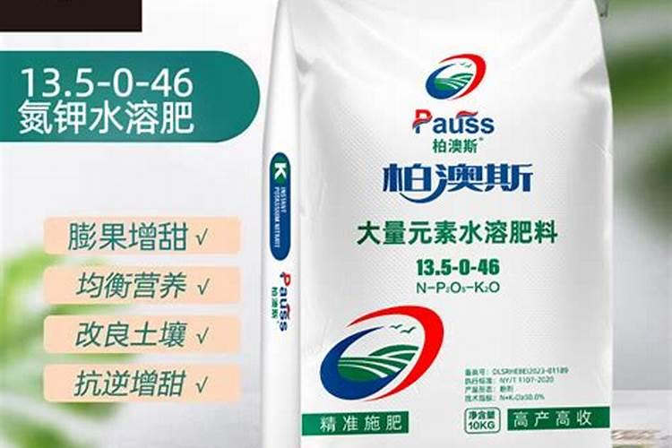 南瓜爬地种多少棵