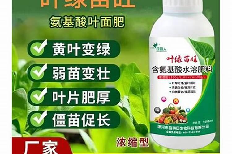 请问金银花应该怎么去合理有效的使用叶面肥？
