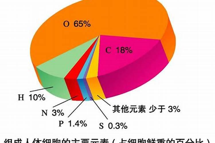 芸豆什么时候施肥