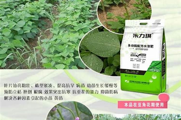 种豆角用什么肥料最好 种豆角用磷酸二氢钾肥可以吗