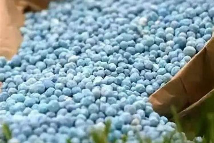 种植油菜该怎么施硼肥？