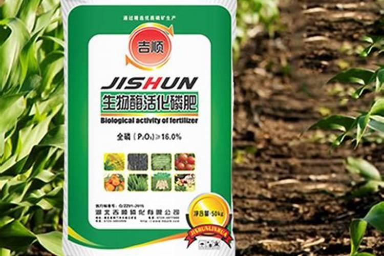 芒果种子水培方法,种子挖出来泡水里,一个夏天就能长成小树苗