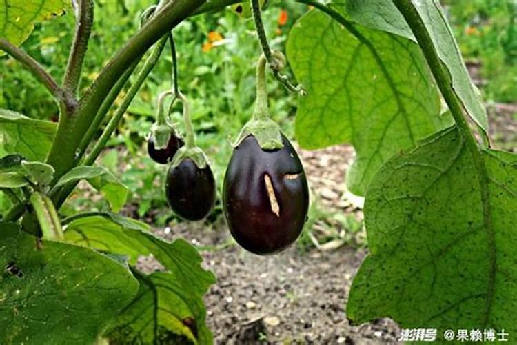 污染物质种类哪些