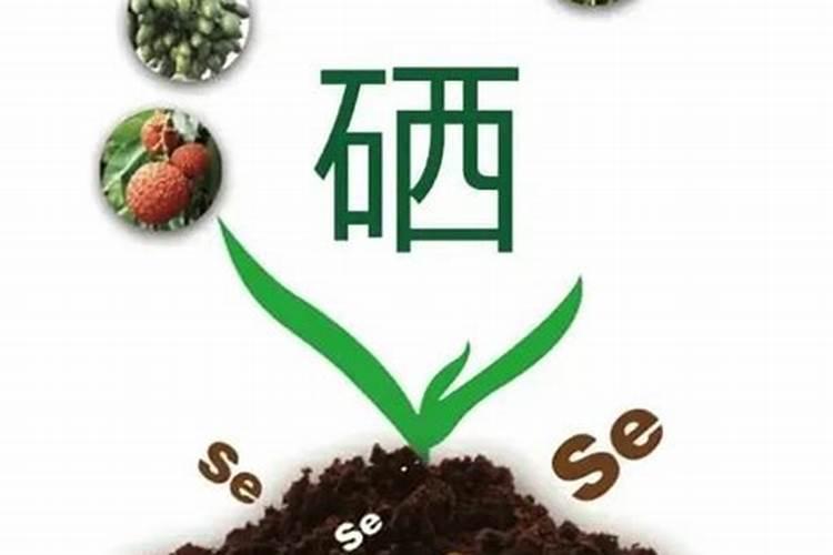 花生一亩用多少氯化钾肥料