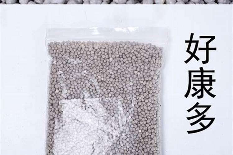 空心菜不催芽多久发芽