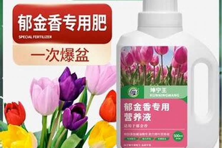 水培郁金香可以用磷酸二氢钾吗