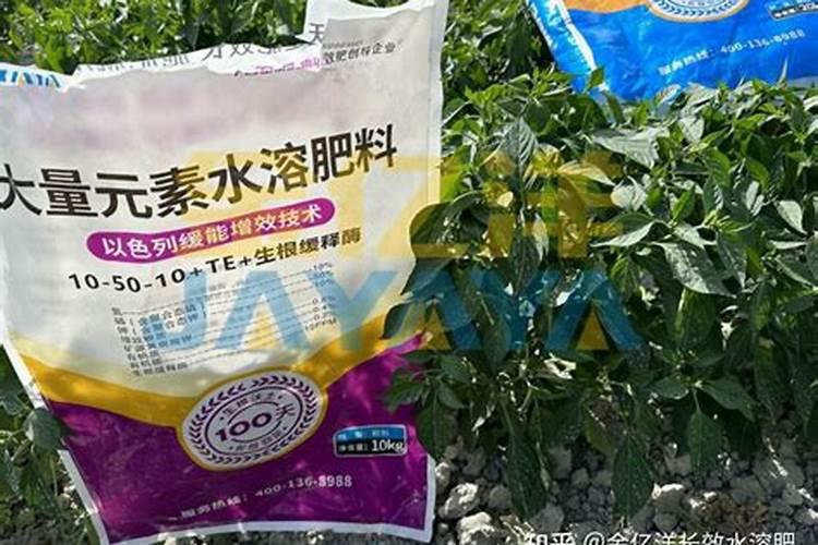 海缸氨基酸有用吗