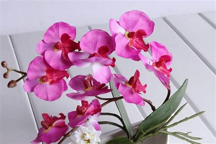 土豆施肥用什么肥料