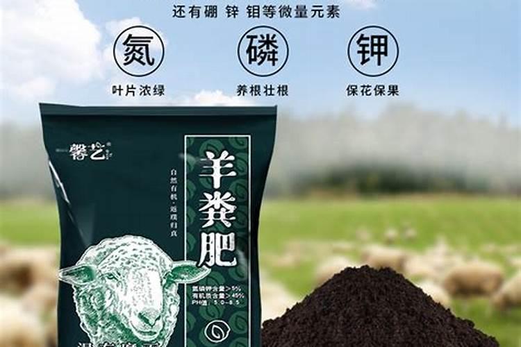 水溶肥十大名牌