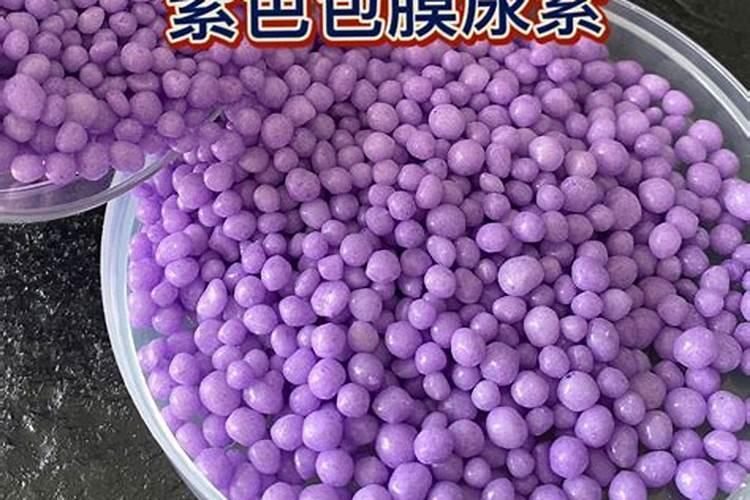 芸豆喜欢什么叶面肥