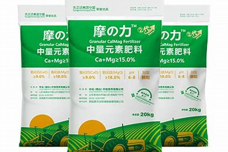 种植番茄的时候病虫害反复出现,该如何进行防治？