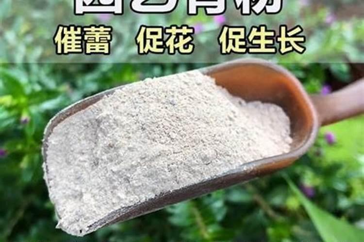 大葱叶面喷13元素好还是24元素好