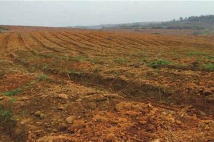 黄腐酸和腐植酸哪个好呢？告诉你:黄腐酸更“牛”,你不得不服!