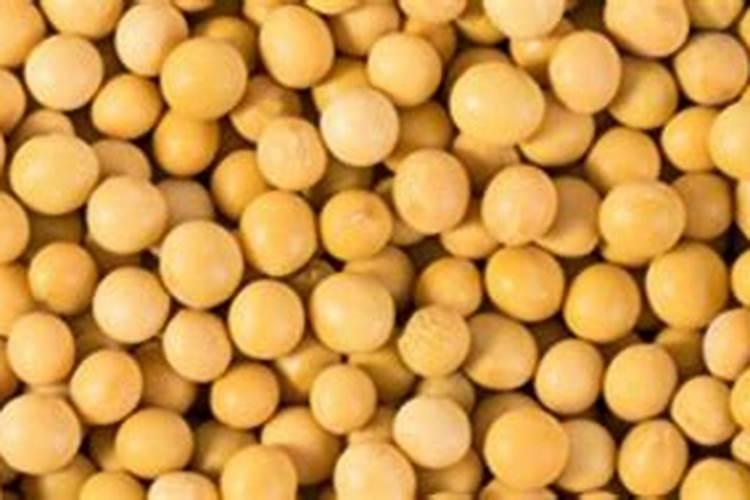 水溶肥的正确使用方法和用量