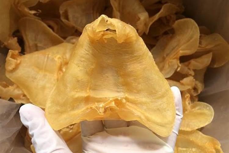 磷肥可以兑水浇花吗 磷肥对花卉的作用是什么