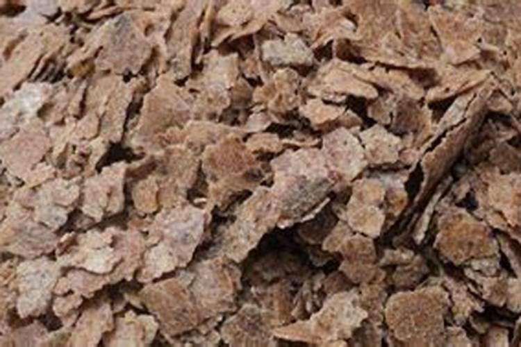 种大葱要追肥吗