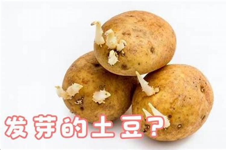 大棚油桃温度多少度桃长得快