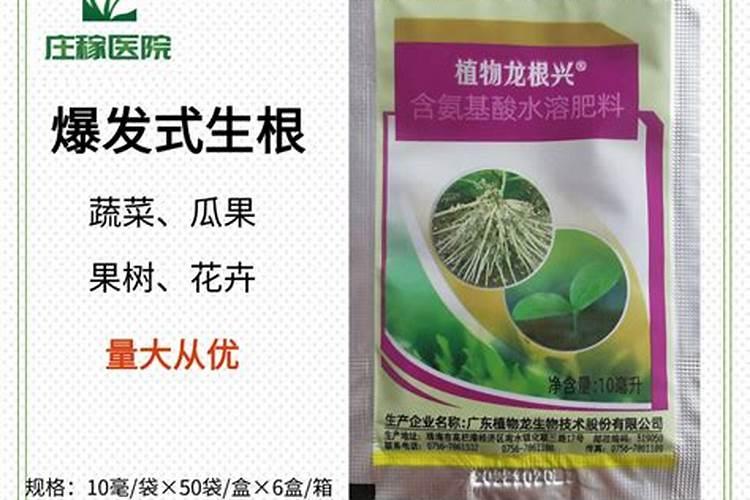 兰草几天浇一次水 兰草浇水时间介绍