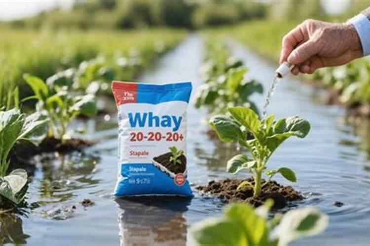 花卉常用的有机肥有哪些？