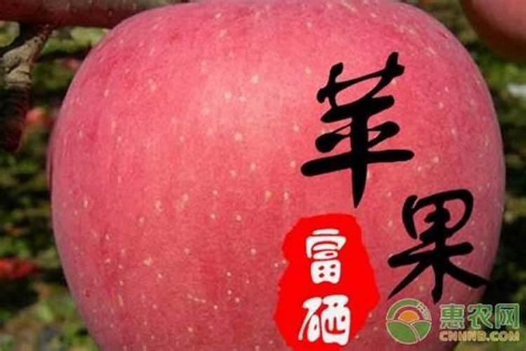 氨基酸水溶肥十大品牌