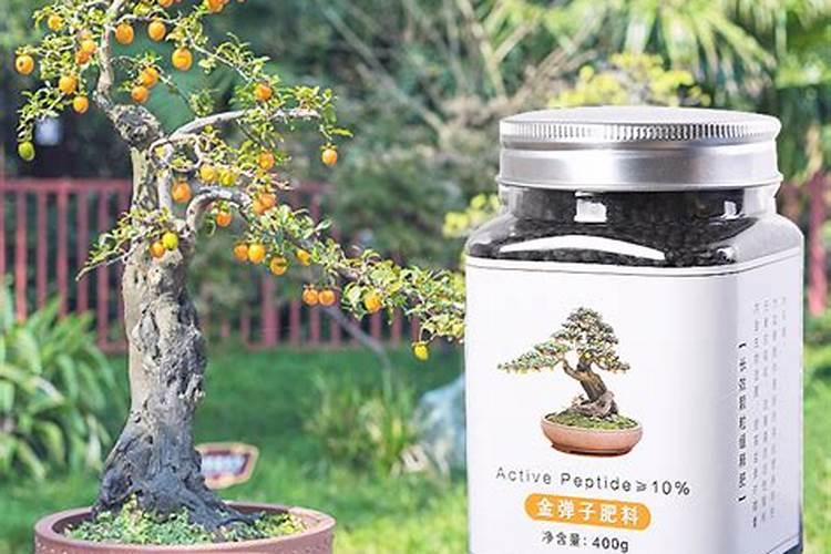 金弹子花期可以用花多多2号吗？