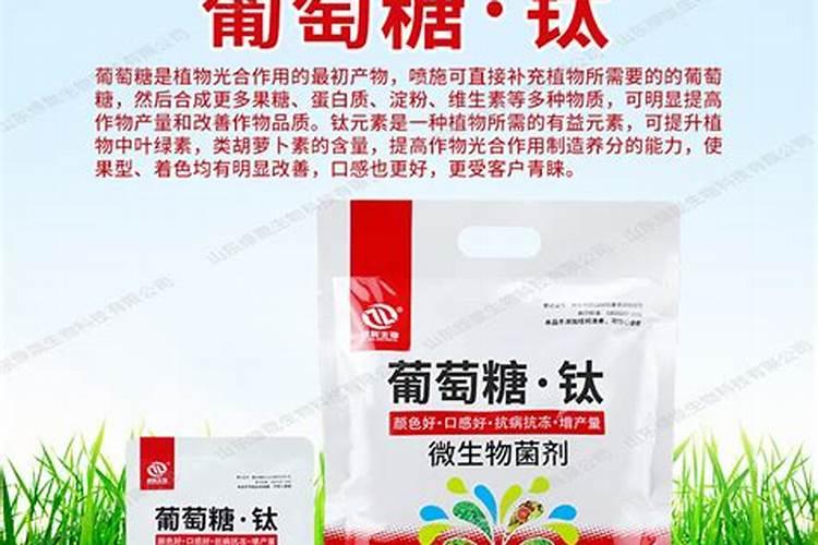 玉米追肥用什么肥料好