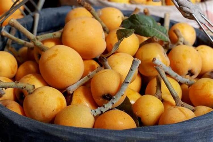 打药无人机多少钱一台,会不会很贵？