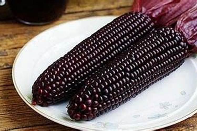 玉米的叶子发黄是什么情况用要怎么用什么药？