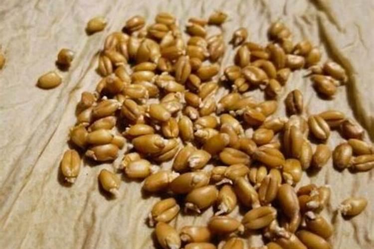 复合肥都含哪几种肥料