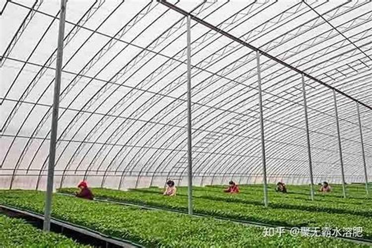 果糖30克是多少ml