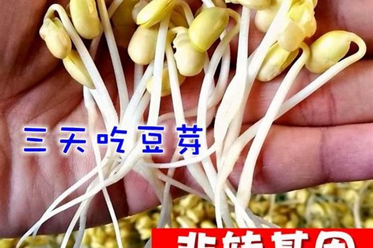 什么植物不需要人工施加含氮肥料