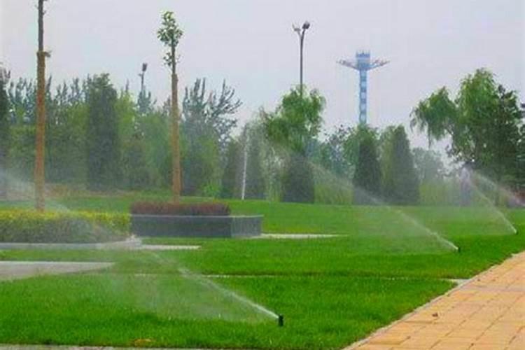 水溶肥到底怎么施用